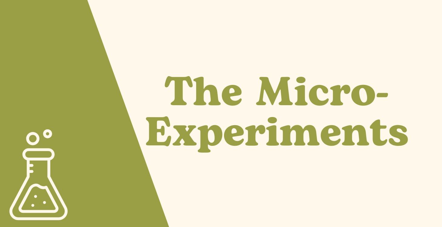 The Micro-Experiments