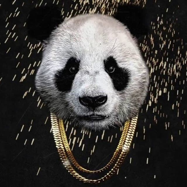 Panda Papes