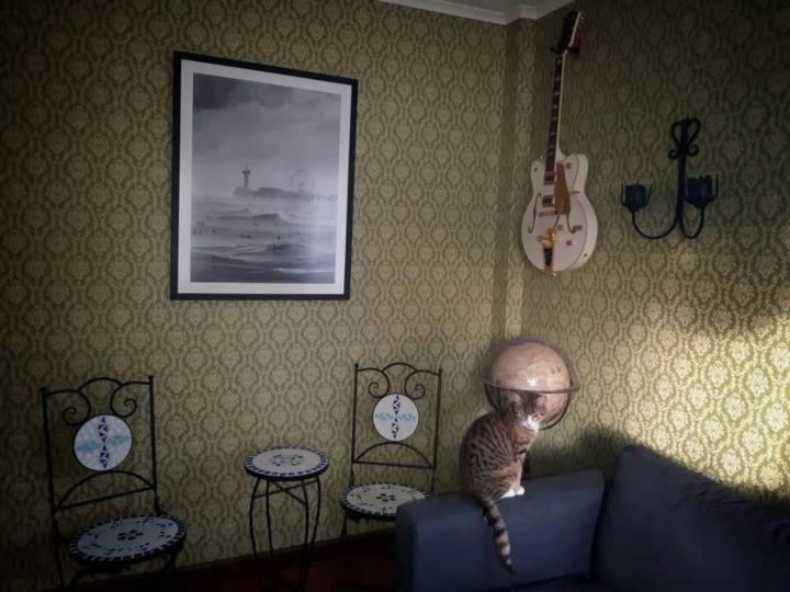 DESIGN WITCH - NEW INTERIOR DESIGN CONCEPT