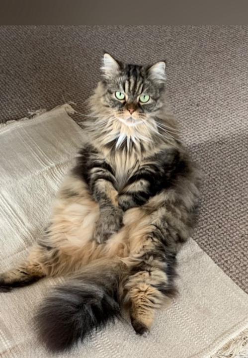 Marie-laurence Richon