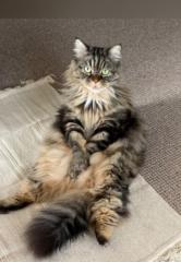 Marie-laurence Richon