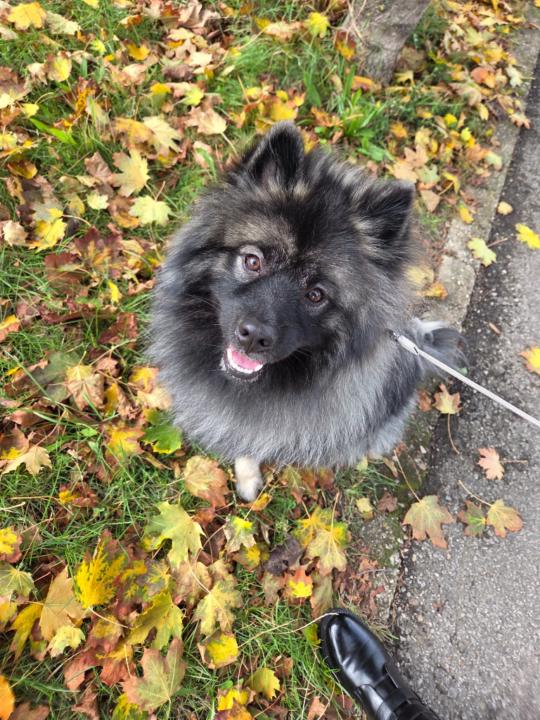 Dominika Macháčková