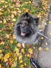 Dominika Macháčková