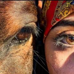 Reem Daqqa