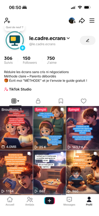 Retour sur le Screen Priming 