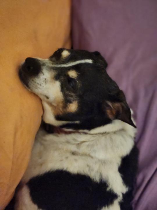 The 6th class is posted 