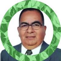 Erasmo Adolfo