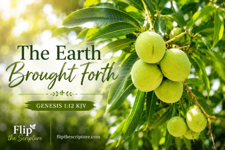 The Earth Brought Forth