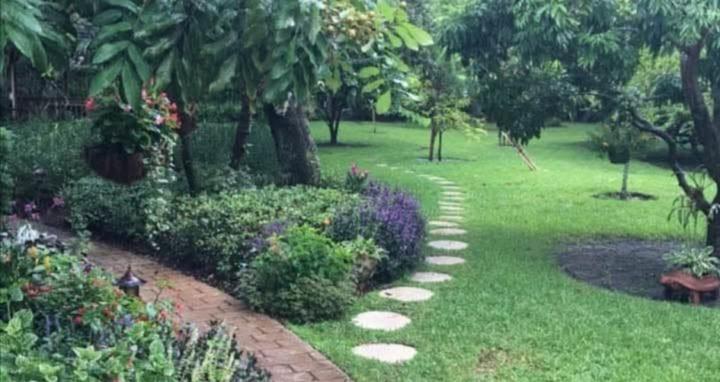 Food Forest Homesteading Life