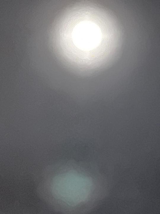 Россия Россия