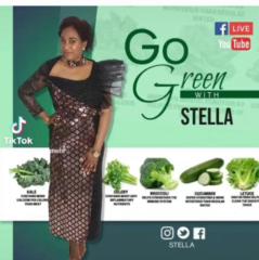 Stella Odiamehi