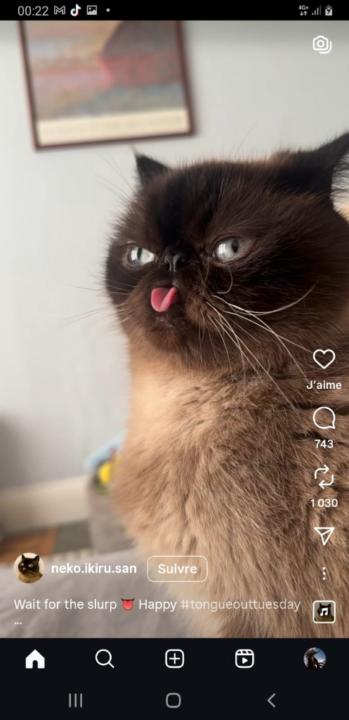 Juju Juju