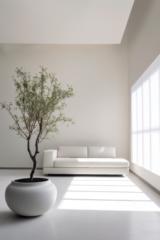 Daniel Padilla Montes