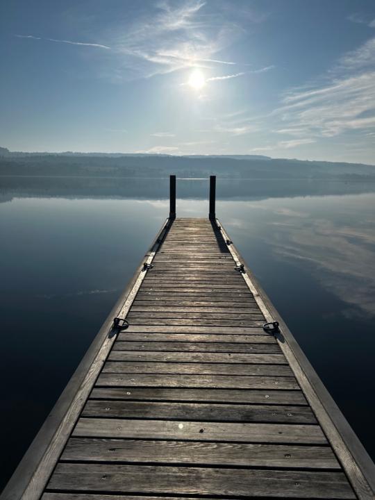 Ellard van der Molen