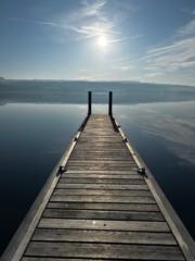 Ellard van der Molen