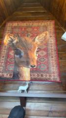 منى عبدالله