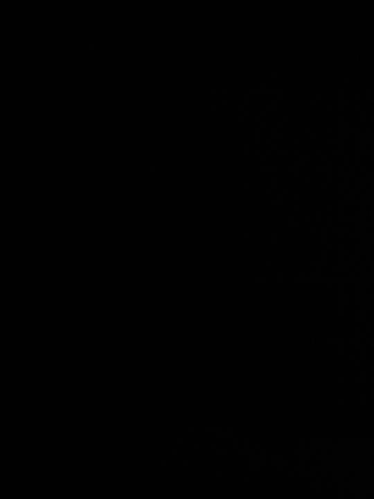 Tamara Martínez Ahijon