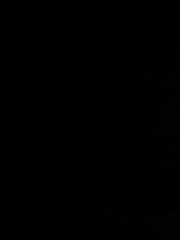 Tamara Martínez Ahijon