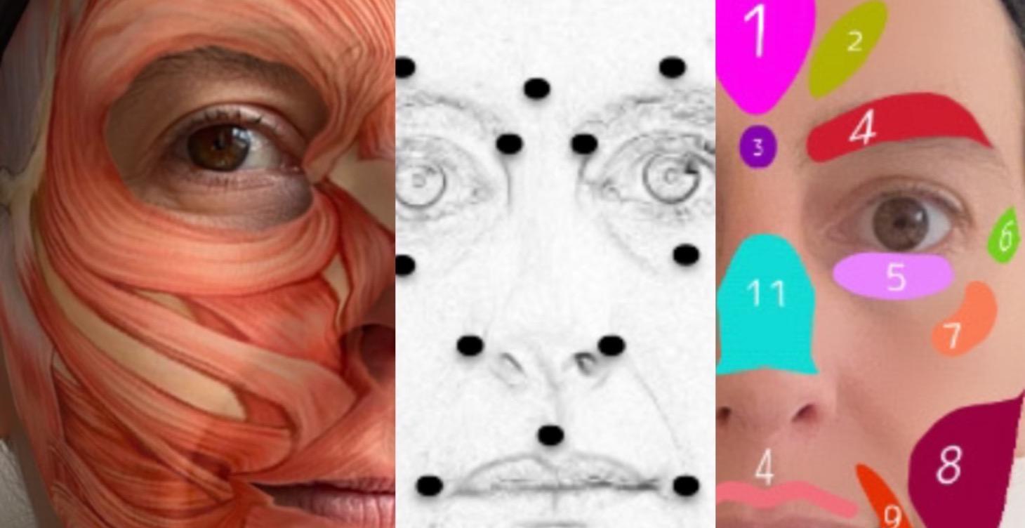 Módulo 2 Anatomía aplicada al cuidado facial