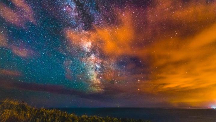 Sharney Scott scott Scott scott