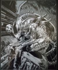 Damien Page