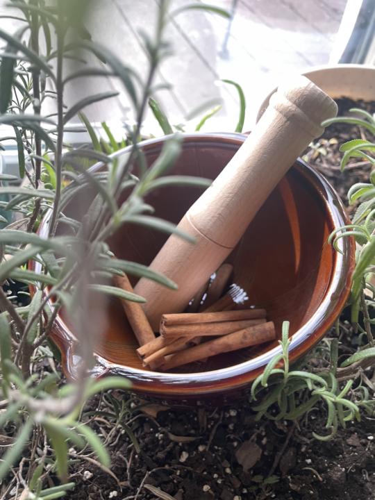 God gives us things to heal 🥰🌱