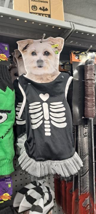 Simon Léger-Dumoulin