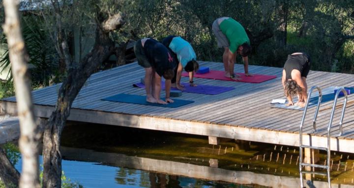 Eat, love and practise Yoga