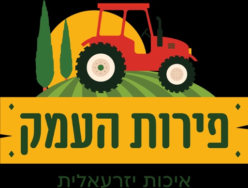 ניר אשכנזי
