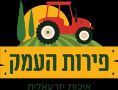 ניר אשכנזי