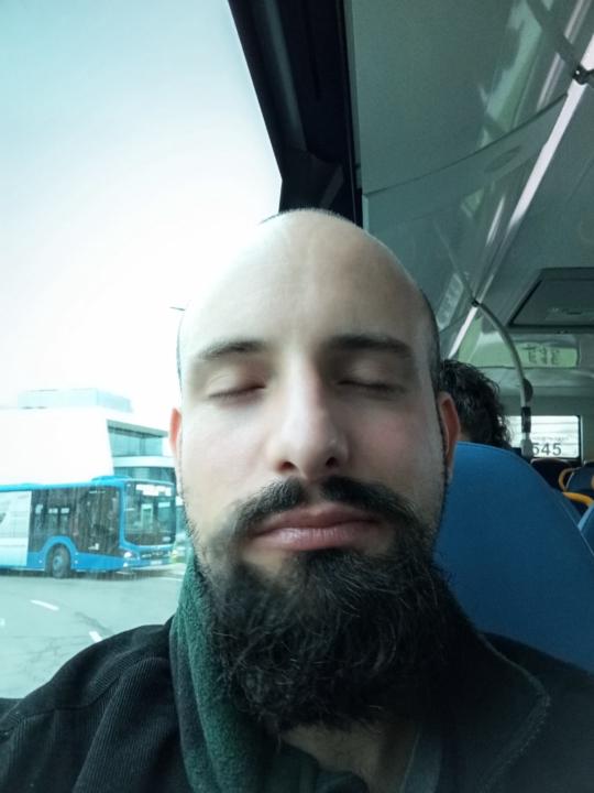 Ion Galletero Vicuña