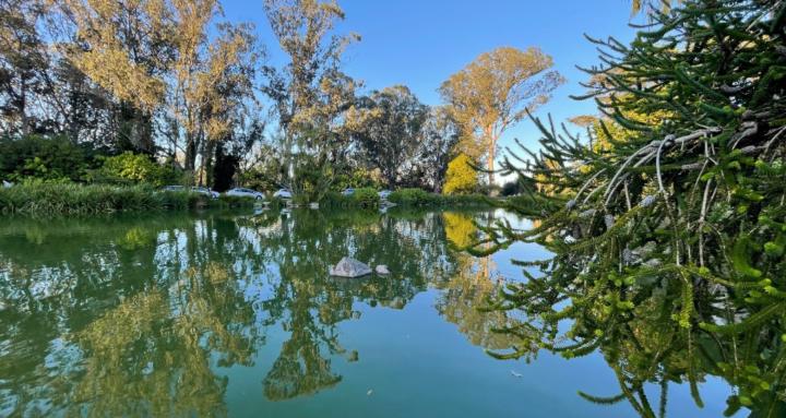 Artists In Communities Club