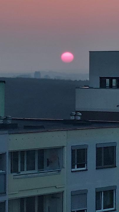 What shots have taken during the past month? 