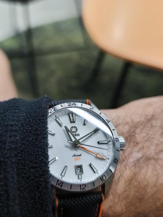 White dial Wednesday 