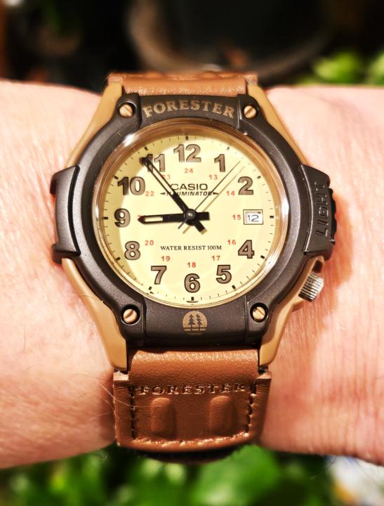 WOTD — Casio Forester Field Watch