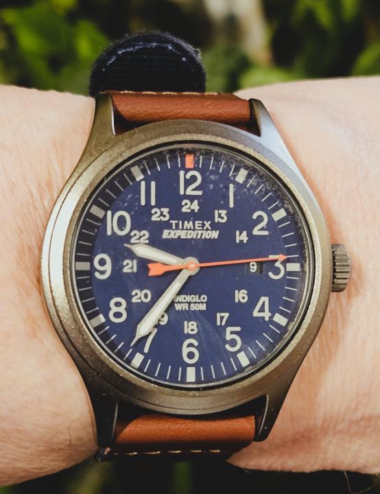 BFWM — Timex Expedition Scout 