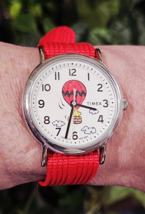 Day #5 of the 30 Day Challenge - Woodstock! 