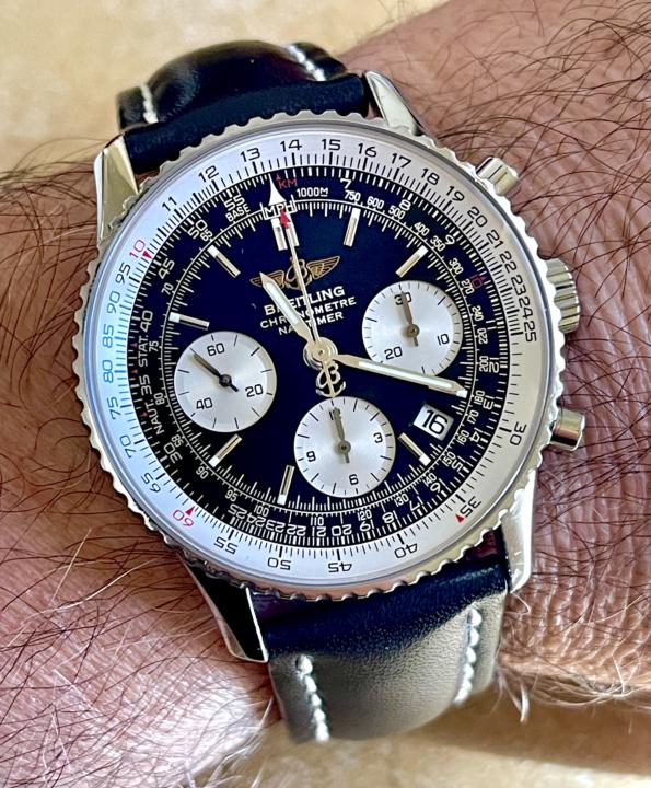 My sketchy companion…