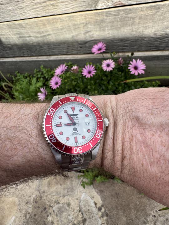 WOTD - Thursday 18 December