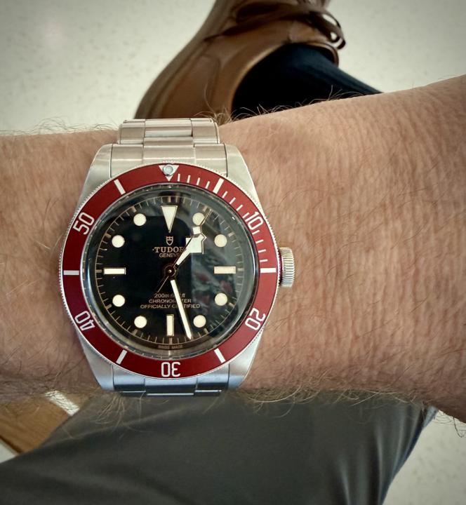 Tudor Black Bay