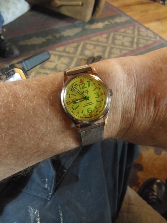 Yellow Oris