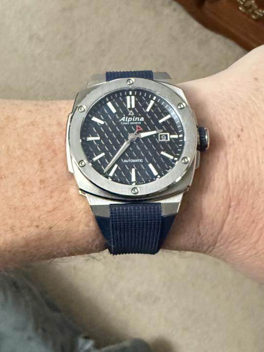 WOTD- Blue Monday February 9th: Alpina Alpiner Extreme