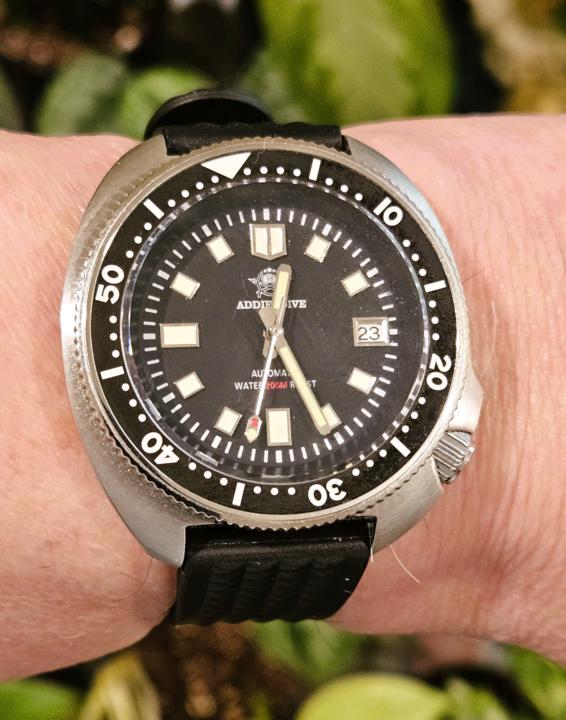 Sporting Saturday —Addiesdive Willard Diver