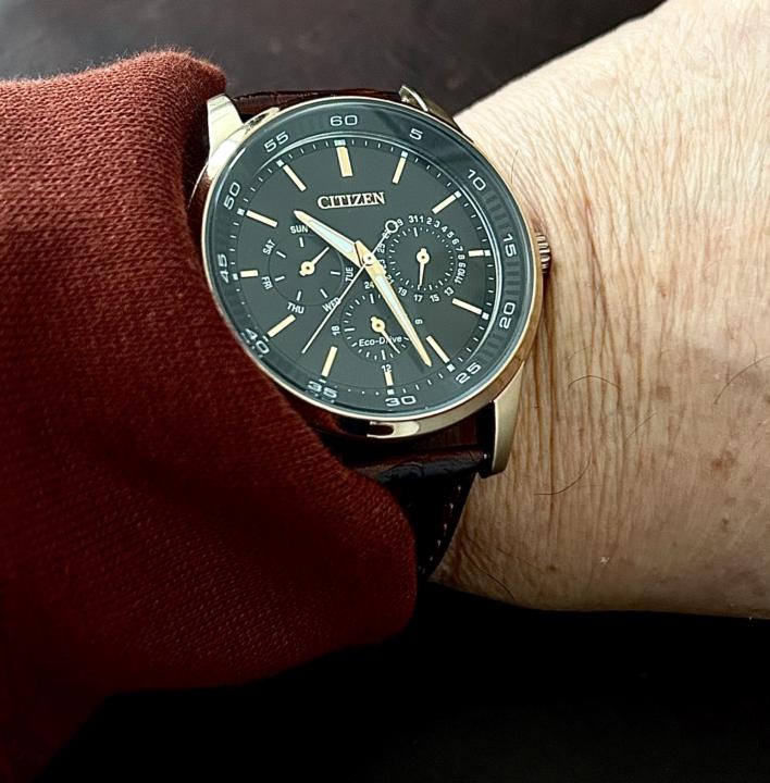 Working Holiday Watch