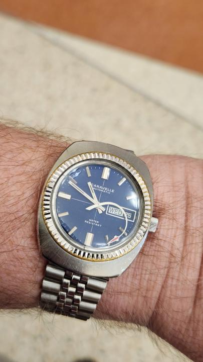 WOTD: The Caravelle!