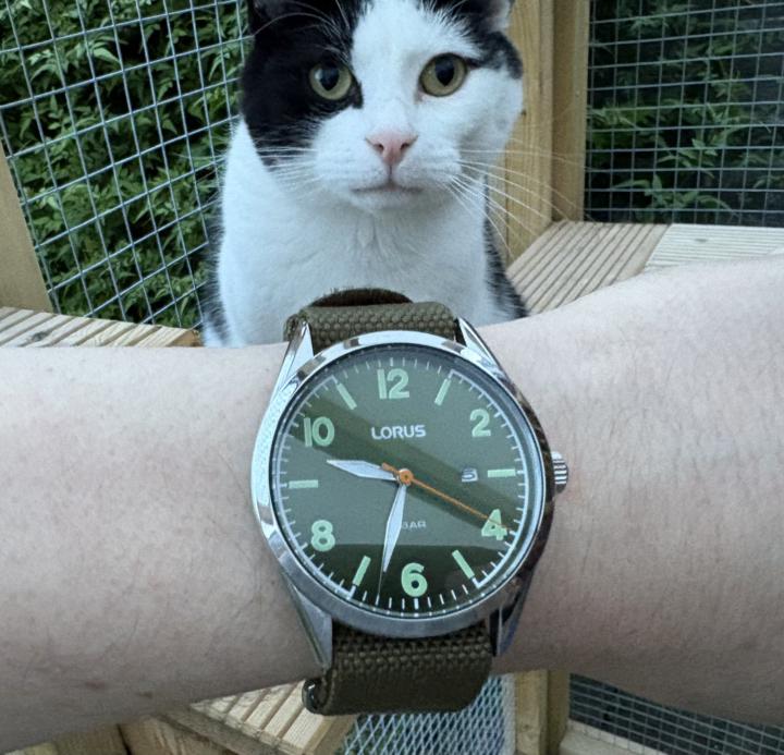 Field Watch Friday - Lorus PC31-X190
