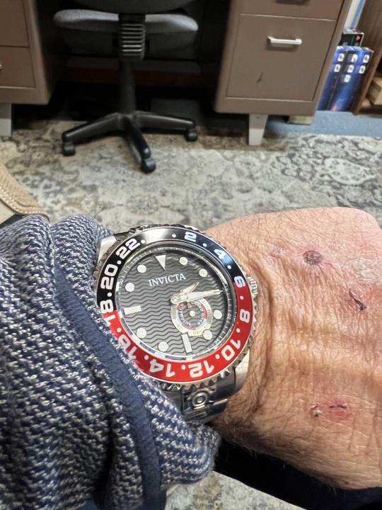 Invicta Pro Diver vs. timegrapher