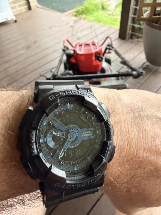 WOTD - Sunday 1 February 