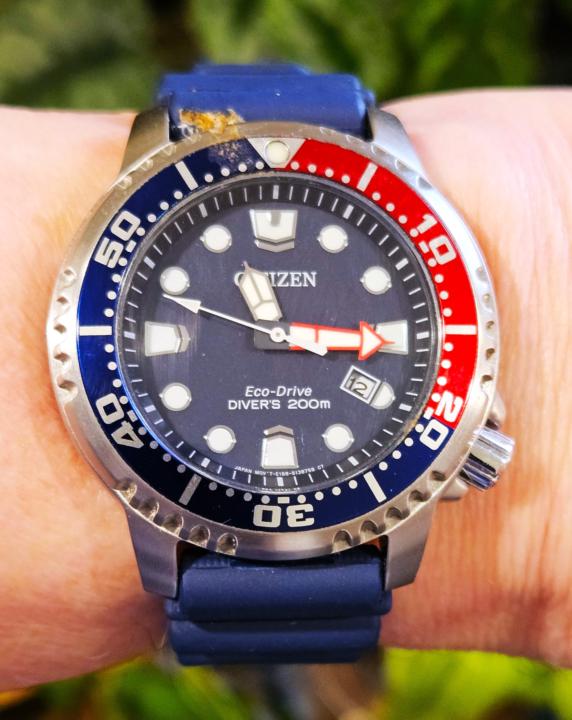 Citizen Promaster Dive Eco-Drive 