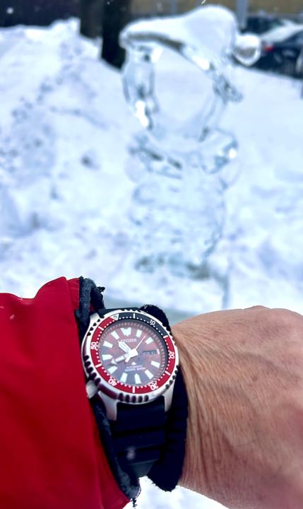 Citizen Godzilla Singular Point